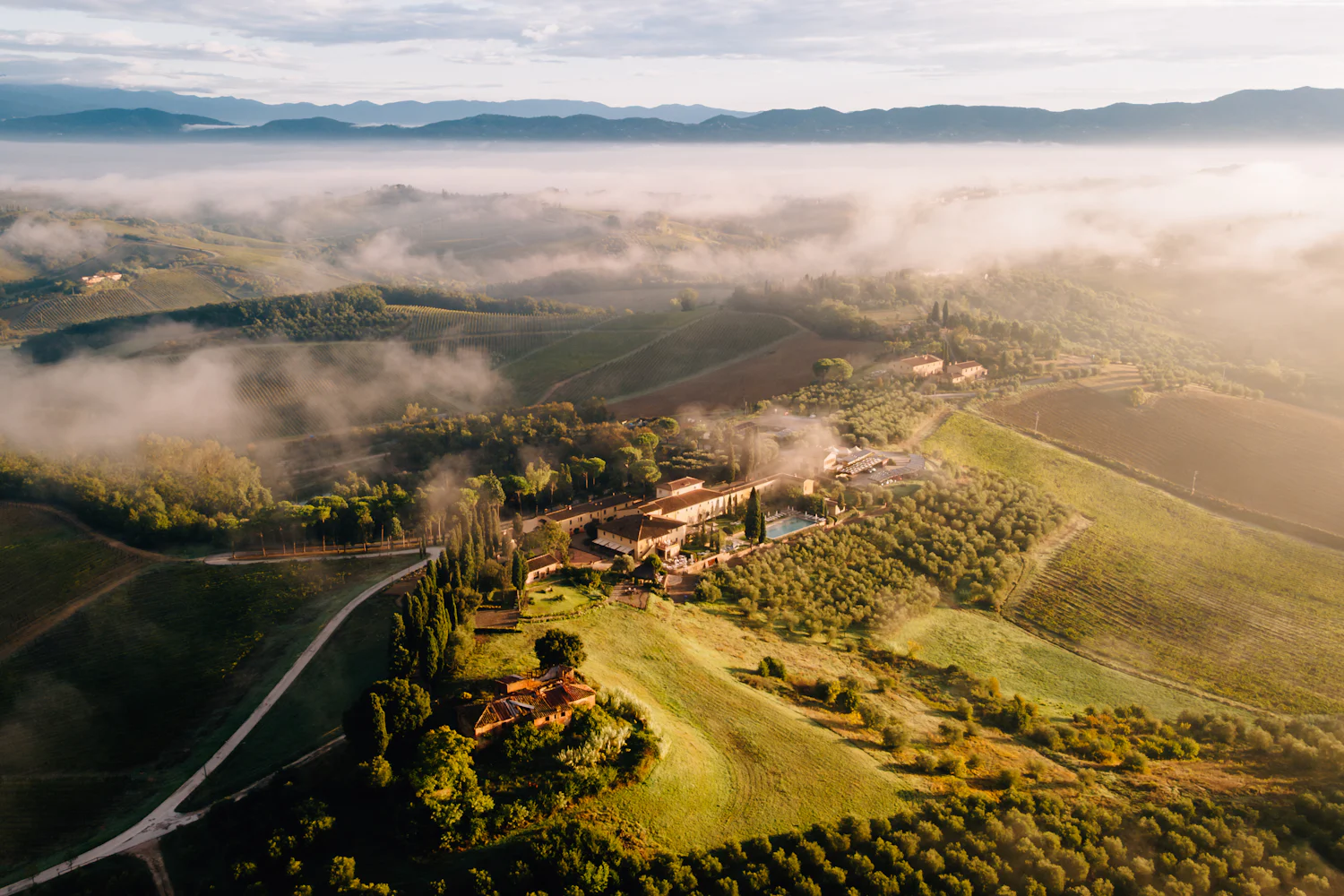 Vigneti toscani gestiti con agricoltura di precisione — vista dal drone